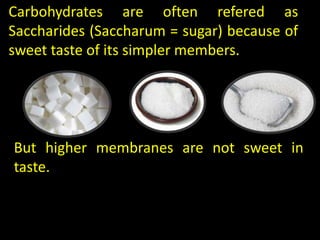 Carbohydrates are often refered as
Saccharides (Saccharum = sugar) because of
sweet taste of its simpler members.
But higher membranes are not sweet in
taste.
 