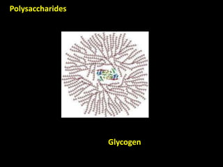 Polysaccharides
Glycogen
 