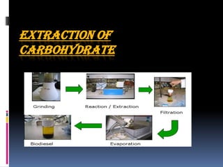 EXTRACTION OF
CARBOHYDRATE
 