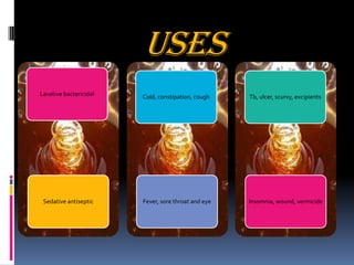 Uses
Laxative bactericidal
Sedative antiseptic
Cold, constipation, cough
Fever, sore throat and eye
Tb, ulcer, scurvy, excipients
Insomnia, wound, vermicide
 