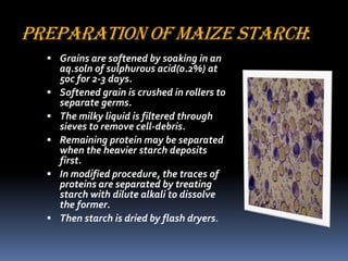 PREPARATION OF MAIZE STARCH:
 Grains are softened by soaking in an
aq.soln of sulphurous acid(0.2%) at
50c for 2-3 days.
 Softened grain is crushed in rollers to
separate germs.
 The milky liquid is filtered through
sieves to remove cell-debris.
 Remaining protein may be separated
when the heavier starch deposits
first.
 In modified procedure, the traces of
proteins are separated by treating
starch with dilute alkali to dissolve
the former.
 Then starch is dried by flash dryers.
 