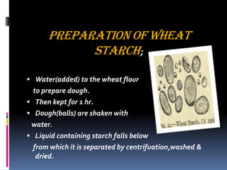 PREPARATION OF WHEAT
STARCH;
 Water(added) to the wheat flour
to prepare dough.
 Then kept for 1 hr.
 Dough(balls) are shaken with
water.
 Liquid containing starch falls below
from which it is separated by centrifuation,washed &
dried.
 