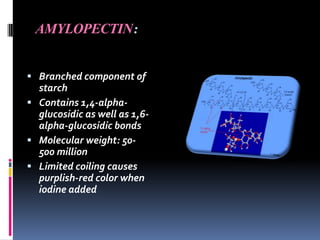 AMYLOPECTIN:
 Branched component of
starch
 Contains 1,4-alpha-
glucosidic as well as 1,6-
alpha-glucosidic bonds
 Molecular weight: 50-
500 million
 Limited coiling causes
purplish-red color when
iodine added
 