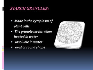 STARCH GRANULES:
 Made in the cytoplasm of
plant cells
 The granule swells when
heated in water
 Insoluble in water
 oval or round shape
 