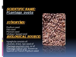 SCIENTIFIC NAME:
Plantago ovata
Synonyms:
Psyllium seed
Flea seed
Plantain seed
Ishabgul Spogel seed
Biological Source:
Ispaghula consists of:
cleaned, dried, ripe seed of
Plantago psyrium Linn, or of
Plantago indica Linn. known as
Spanish or French Psyllium seed.
 