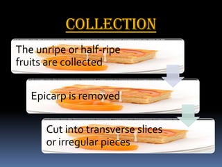 Collection
The unripe or half-ripe
fruits are collected
Epicarp is removed
Cut into transverse slices
or irregular pieces
 