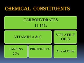 CHEMICAL CONSTITUENTS
CARBOHYDRATES
11-15%
VITAMIN A & C
TANNINS
20%
PROTEINS 1%
VOLATILE
OILS
ALKALOIDS
 