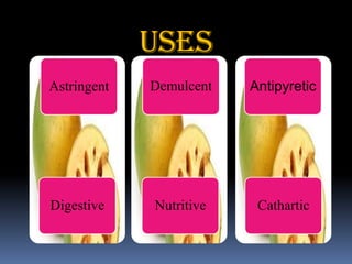 uses
Astringent
Digestive
Demulcent
Nutritive
Antipyretic
Cathartic
 
