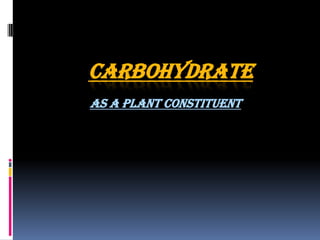 CARBOHYDRATE
AS A PLANT CONSTITUENT
 