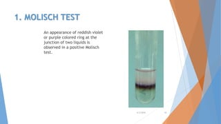 1. MOLISCH TEST
An appearance of reddish violet
or purple colored ring at the
junction of two liquids is
observed in a positive Molisch
test.
4/3/2016 10
 