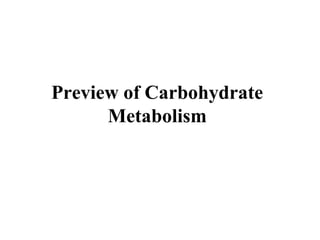 Preview of Carbohydrate
Metabolism
 