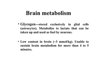 Brain metabolism
• Glycogen---stored exclusively in glial cells
(astrocytes). Metabolize to lactate that can be
taken up and used as fuel by neurons.
• Low content in brain (~3 mmol/kg). Unable to
sustain brain metabolism for more than 4 to 5
minutes.
 