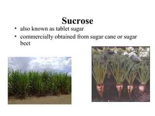 Sucrose
• also known as tablet sugar
• commercially obtained from sugar cane or sugar
beet
 