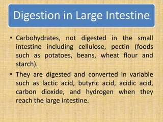 • Carbohydrates, not digested in the small
intestine including cellulose, pectin (foods
such as potatoes, beans, wheat flour and
starch).
• They are digested and converted in variable
such as lactic acid, butyric acid, acidic acid,
carbon dioxide, and hydrogen when they
reach the large intestine.
Digestion in Large Intestine
 