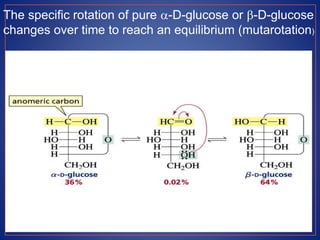 Mutarotation Example Carbohydrate ppt | PPTX