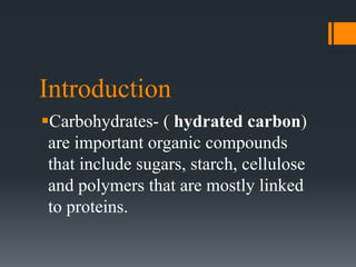 Introduction
Carbohydrates- ( hydrated carbon)
are important organic compounds
that include sugars, starch, cellulose
and polymers that are mostly linked
to proteins.
 