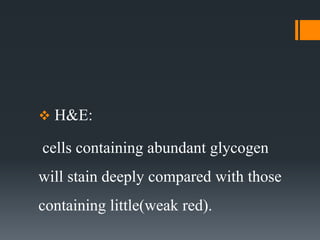  H&E:
cells containing abundant glycogen
will stain deeply compared with those
containing little(weak red).
 