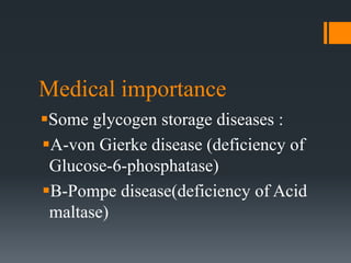Medical importance
Some glycogen storage diseases :
A-von Gierke disease (deficiency of
Glucose-6-phosphatase)
B-Pompe disease(deficiency of Acid
maltase)
 