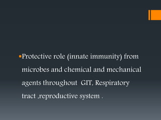 Protective role (innate immunity) from
microbes and chemical and mechanical
agents throughout GIT, Respiratory
tract ,reproductive system .
 