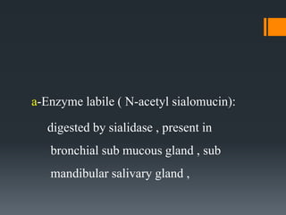 a-Enzyme labile ( N-acetyl sialomucin):
digested by sialidase , present in
bronchial sub mucous gland , sub
mandibular salivary gland ,
 