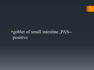 goblet of small intestine ,PAS--
positive
 