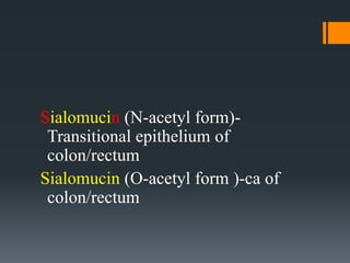 Sialomucin (N-acetyl form)-
Transitional epithelium of
colon/rectum
Sialomucin (O-acetyl form )-ca of
colon/rectum
 