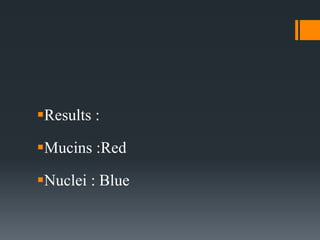 Results :
Mucins :Red
Nuclei : Blue
 