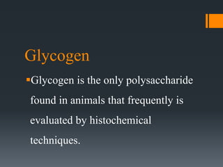Glycogen
Glycogen is the only polysaccharide
found in animals that frequently is
evaluated by histochemical
techniques.
 