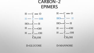 H C
H
O
C OH
HO C H
C OHH
H C OH
CH2OH
D-GLUCOSE
H C O
HO C H
HO C H
H C OH
H C OH
CH2OH
D-MANNOSE
CARBON-2
EPIMERS
 