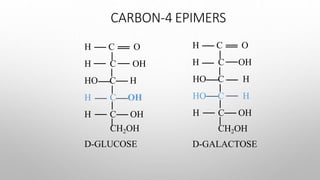 CARBON-4 EPIMERS
H C
H
O
C OH
HO C H
H C OH
H C OH
CH2OH
D-GLUCOSE
H C
H
O
C OH
HO C H
HO C H
H C OH
CH2OH
D-GALACTOSE
 