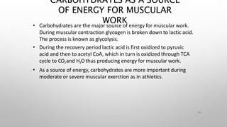 CARBOHYDRATES AS A SOURCE
OF ENERGY FOR MUSCULAR
WORK
46
•
•
•
Carbohydrates are the major source of energy for muscular work.
During muscular contraction glycogen is broken down to lactic acid.
The process is known as glycolysis.
During the recovery period lactic acid is first oxidized to pyruvic
acid and then to acetyl CoA, which in turn is oxidized through TCA
cycle to CO2and H2Othus producing energy for muscular work.
As a source of energy, carbohydrates are more important during
moderate or severe muscular exerction as in athletics.
 