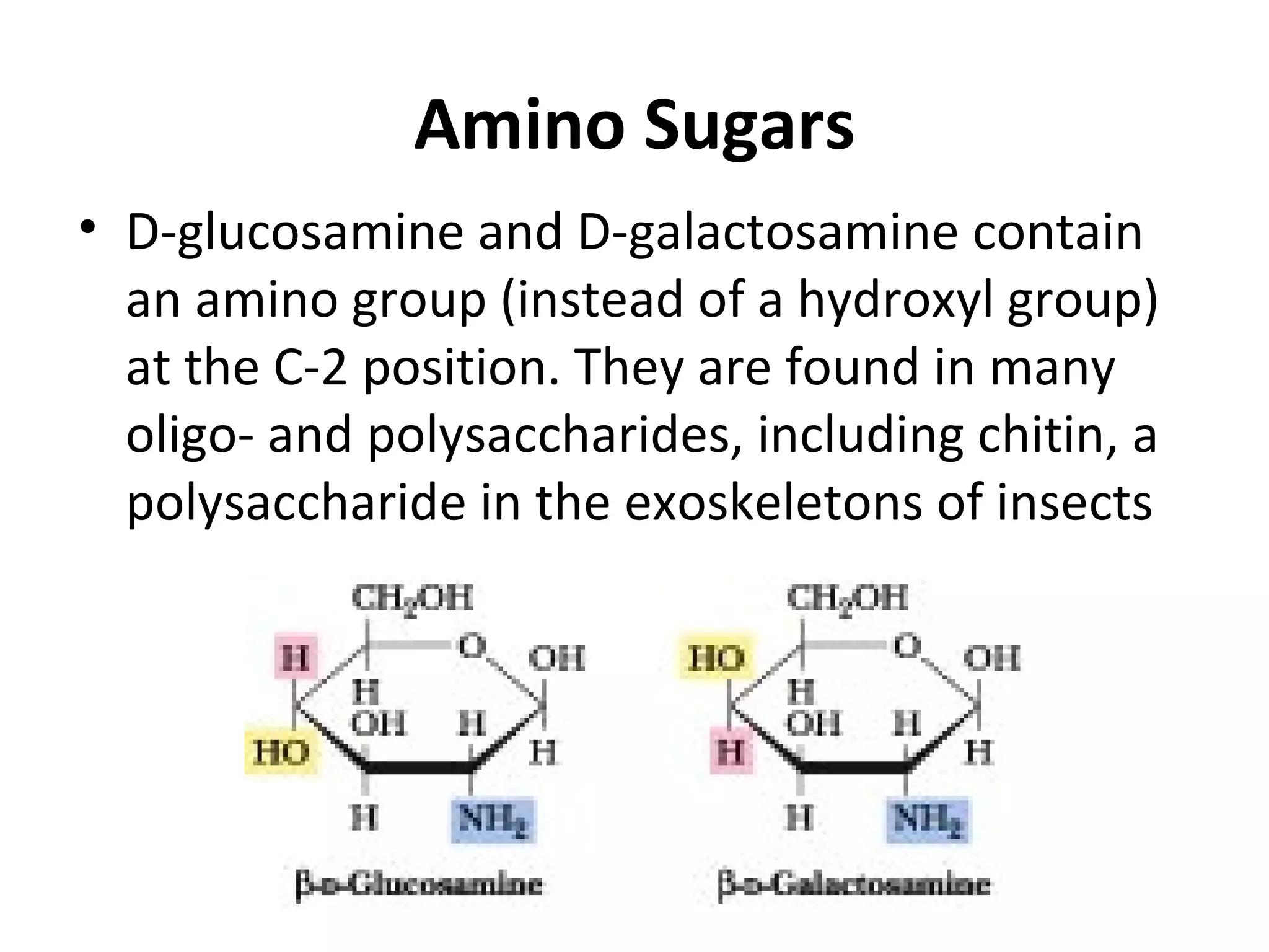 Amino Sugars
• D-glucosamine and D-galactosamine contain
  an amino group (instead of a hydroxyl group)
  at the C-2 position. They are found in many
  oligo- and polysaccharides, including chitin, a
  polysaccharide in the exoskeletons of insects
 