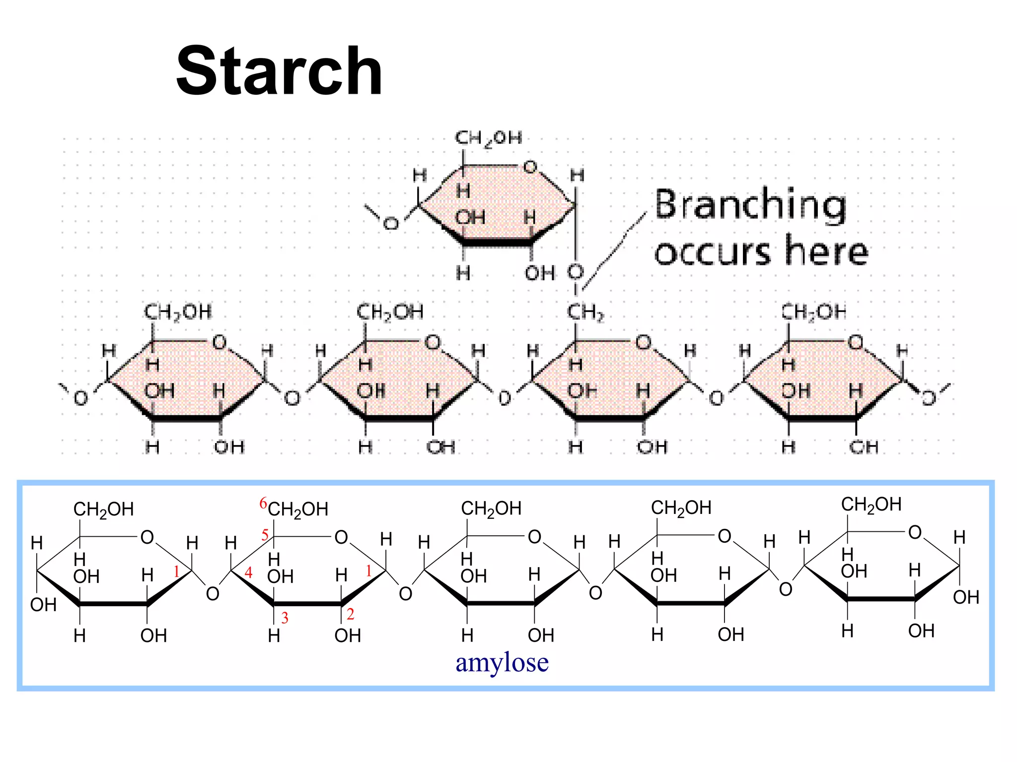 Starch




     CH2OH                      6CH OH                    CH2OH                    CH2OH                    CH2OH
                                   2
             O                  5      O      H                   O            H           O    H       H           O    H
H                  H       H                          H                H
     H                          H                         H                        H                        H
     OH      H 1               4 OH     H 1               OH      H                OH      H                OH      H
                       O                          O                        O                        O                    OH
OH                                      2
                                    3
     H       OH                 H       OH                H       OH               H       OH               H       OH
                                                          amylose
 