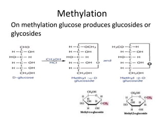 Methylation
On methylation glucose produces glucosides or
glycosides
 