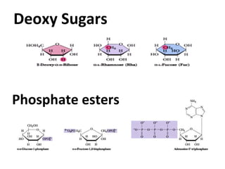 Deoxy Sugars



Phosphate esters
 
