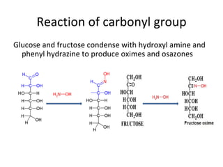 Reaction of carbonyl group
Glucose and fructose condense with hydroxyl amine and
  phenyl hydrazine to produce oximes and osazones
 