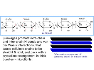 CH2OH                         6CH OH                  CH2OH                    CH2OH                    CH2OH
                                       2
              O                     5      O                        O            H           O            H           O    OH
H                              H                        H
     H                              H                       H                        H                        H
     OH       H    1       O       4 OH   H 1       O       OH      H        O       OH      H        O       OH      H
OH                                                                       H                        H                        H
                       H                   2    H
                                     3
      H       OH                    H     OH                H       OH               H       OH               H       OH
                                                            cellulose

    β-linkages promote intra-chain
    and inter-chain H-bonds and van
    der Waals interactions, that
    cause cellulose chains to be
    straight & rigid, and pack with a                                    Schematic arrangement of
    crystalline arrangement in thick                                     cellulose chains in a microfibril.
    bundles - microfibrils
 