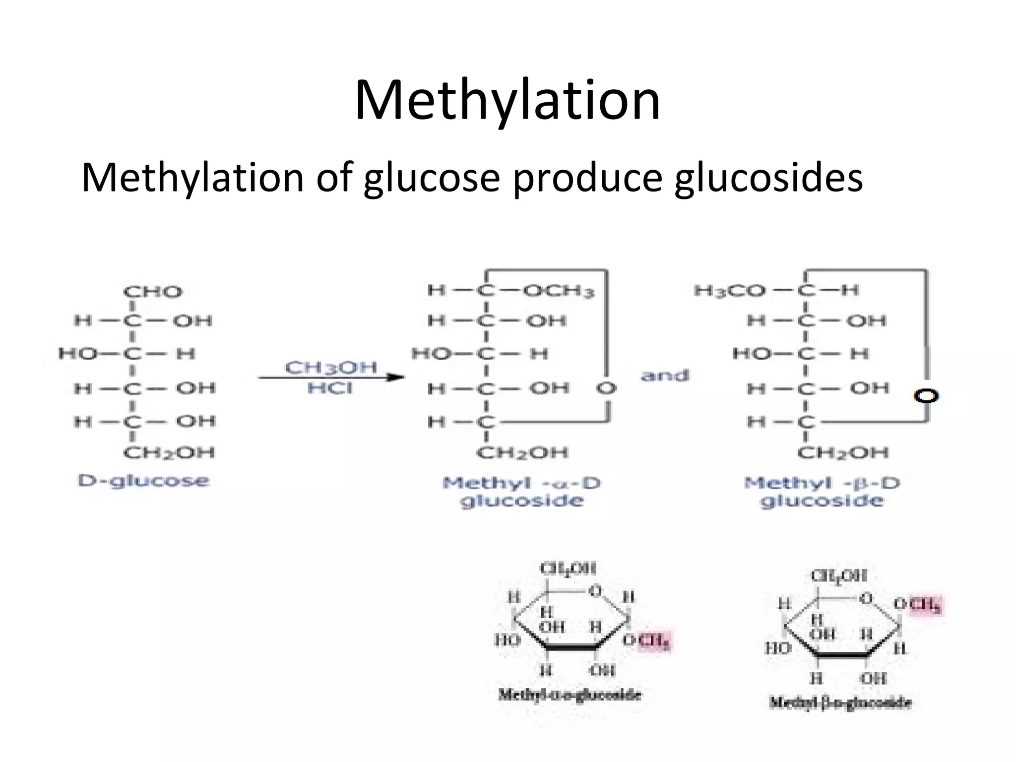 Methylation
Methylation of glucose produce glucosides
 