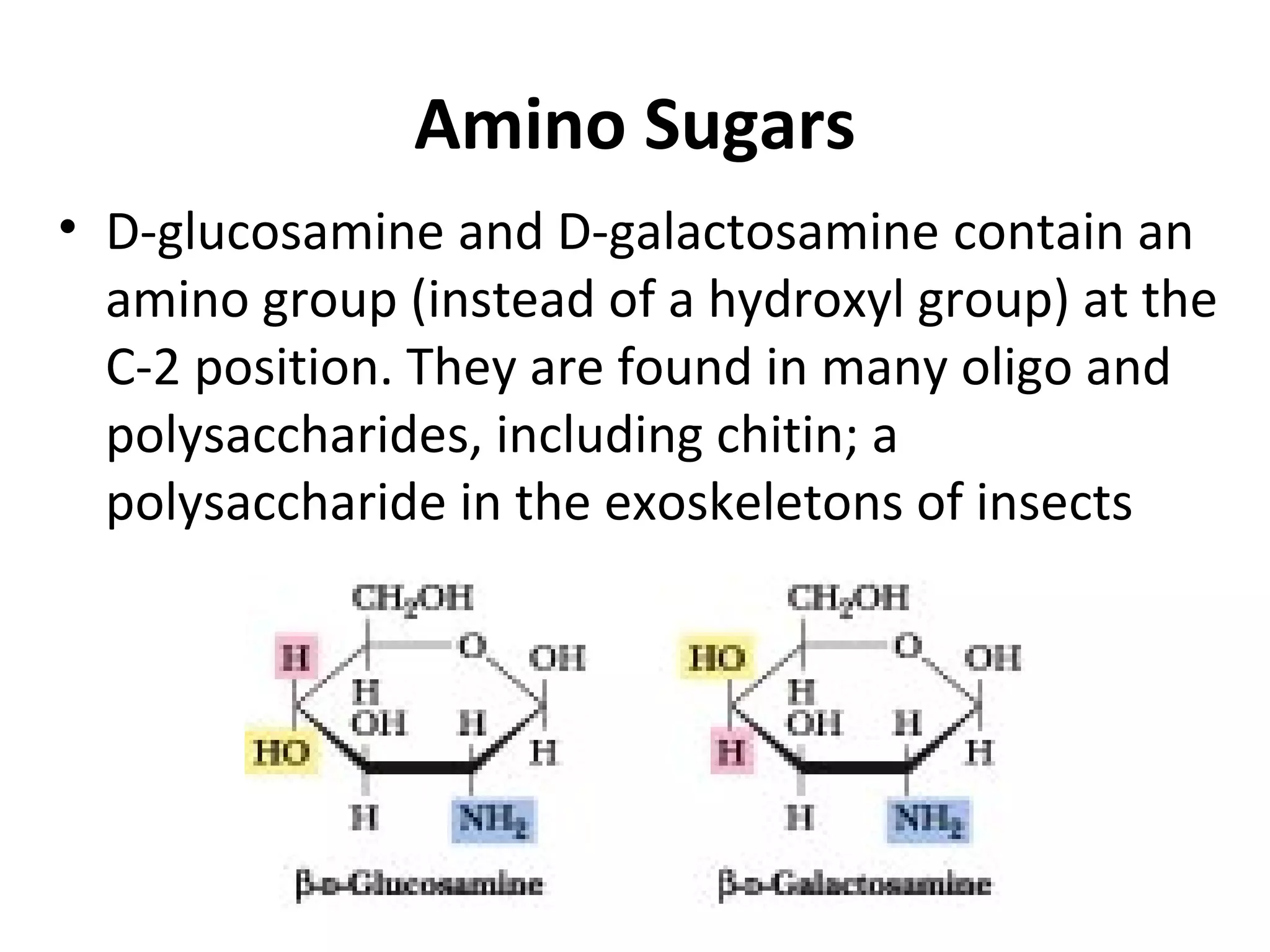 Amino Sugars
• D-glucosamine and D-galactosamine contain an
amino group (instead of a hydroxyl group) at the
C-2 position. They are found in many oligo and
polysaccharides, including chitin; a
polysaccharide in the exoskeletons of insects
 