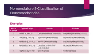 Nomenclature & Classification of
Monosaccharides
Examples
No. of
Carbon
Type of Sugar Aldoses Ketoses
3 Trioses (C3H6O3) Glyceraldehyde (Aldotriose) Dihydroxyacetone (Ketotriose)
4 Tetroses (C4H8O4) Erythrose (Aldotetrose) Erythrulose (Ketotetrose)
5 Pentoses (C5H10O5) Ribose (Aldopentose) Ribulose (Ketopentose)
6 Hexoses (C6H12O6) Glucose, Galactose
(Aldohexose)
Fructose (Ketohexose)
7 Heptoses (C7H14O7) Glucoheptose Sedoheptulose
 