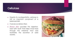 Cellulose
● Despite its nondigestibility, cellulose is
still an important component of a
balanced diet.
● It serves as dietary fiber.
● Dietary fiber provides the digestive
tract with “bulk” that helps move food
through the intestinal tract and
facilitates the excretion of solid
wastes.
 
