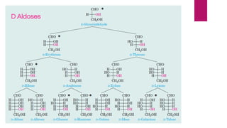 D Aldoses
 