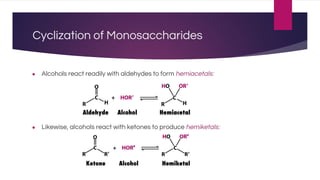 Cyclization of Monosaccharides
● Alcohols react readily with aldehydes to form hemiacetals:
● Likewise, alcohols react with ketones to produce hemiketals:
 