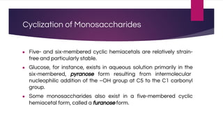Cyclization of Monosaccharides
● Five- and six-membered cyclic hemiacetals are relatively strain-
free and particularly stable.
● Glucose, for instance, exists in aqueous solution primarily in the
six-membered, pyranose form resulting from intermolecular
nucleophilic addition of the –OH group at C5 to the C1 carbonyl
group.
● Some monosaccharides also exist in a five-membered cyclic
hemiacetal form, called a furanose form.
 