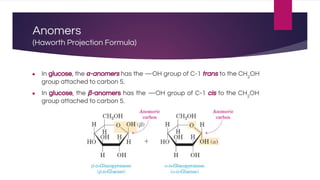 Anomers
(Haworth Projection Formula)
● In glucose, the α-anomers has the —OH group of C-1 trans to the CH2
OH
group attached to carbon 5.
● In glucose, the β-anomers has the —OH group of C-1 cis to the CH2
OH
group attached to carbon 5.
 