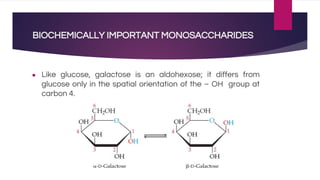 BIOCHEMICALLY IMPORTANT MONOSACCHARIDES
● Like glucose, galactose is an aldohexose; it differs from
glucose only in the spatial orientation of the – OH group at
carbon 4.
 