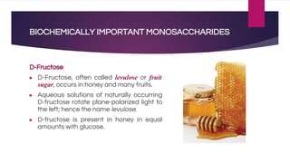BIOCHEMICALLY IMPORTANT MONOSACCHARIDES
D-Fructose
● D-Fructose, often called levulose or fruit
sugar, occurs in honey and many fruits.
● Aqueous solutions of naturally occurring
D-fructose rotate plane-polarized light to
the left; hence the name levulose.
● D-fructose is present in honey in equal
amounts with glucose.
 