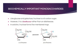 BIOCHEMICALLY IMPORTANT MONOSACCHARIDES
● Like glucose and galactose, fructose is a 6-carbon sugar.
● However, it is a ketohexose rather than an aldohexose.
● In solution, fructose forms five-membered rings:
 