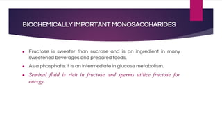 BIOCHEMICALLY IMPORTANT MONOSACCHARIDES
● Fructose is sweeter than sucrose and is an ingredient in many
sweetened beverages and prepared foods.
● As a phosphate, it is an intermediate in glucose metabolism.
● Seminal fluid is rich in fructose and sperms utilize fructose for
energy.
 