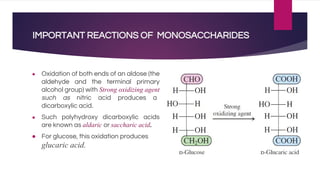IMPORTANT REACTIONS OF MONOSACCHARIDES
● Oxidation of both ends of an aldose (the
aldehyde and the terminal primary
alcohol group) with Strong oxidizing agent
such as nitric acid produces a
dicarboxylic acid.
● Such polyhydroxy dicarboxylic acids
are known as aldaric or saccharic acid.
● For glucose, this oxidation produces
glucaric acid.
 